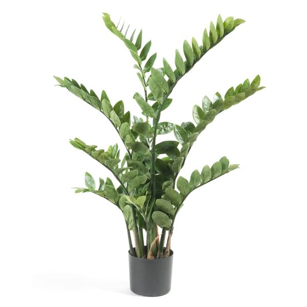Kunstplant zamioculcas groen 110 cm 11.662C