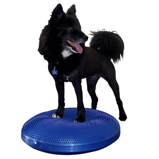 Fitpaws Dierenbalansschijf Blauw 56 cm