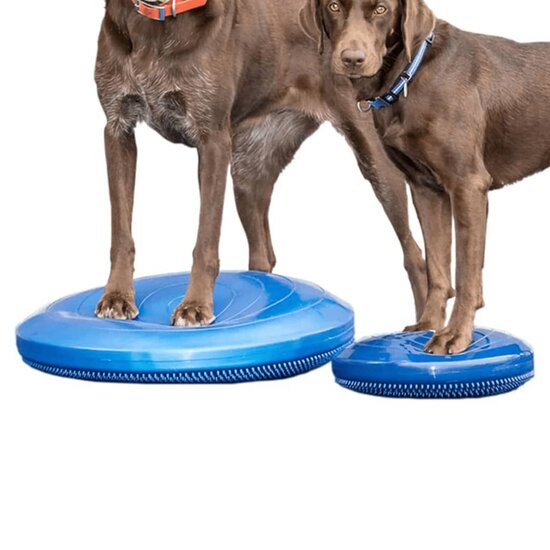 Fitpaws Dierenbalansschijf Blauw 56 cm