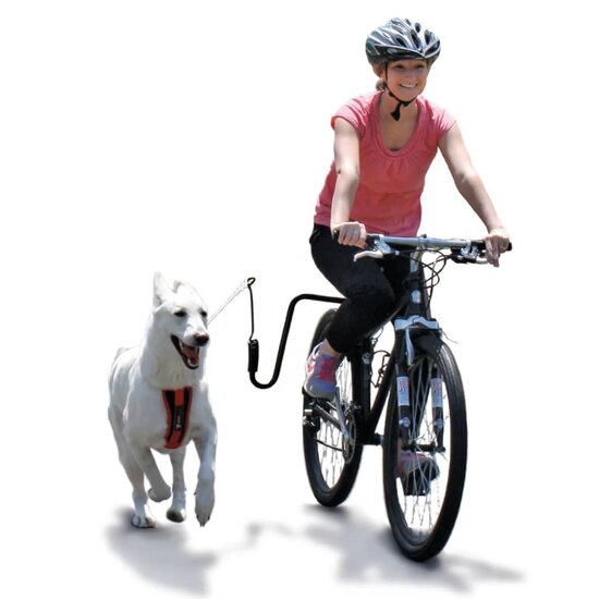 Springer Hondenfietsbeugelset