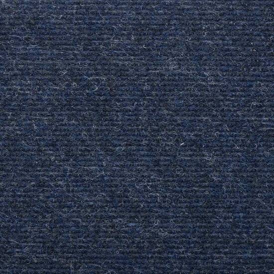 Trapmatten Zelfklevend 65X24,5X3,5 Cm 30 65 x 24.5 x 3.5 cm Blauw
