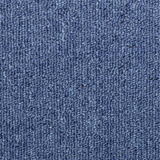 Trapmatten 65X25 Cm 30 Blauw