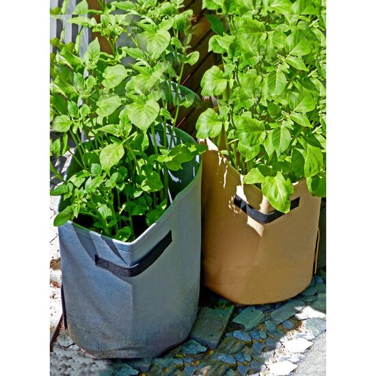 Nature Aardappelkweekzak 37 L Beige