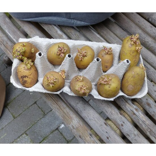 Nature Aardappelkweekzak 37 L Beige