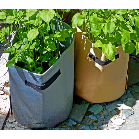 Nature Aardappelkweekzak 37 L Kleurig Antraciet