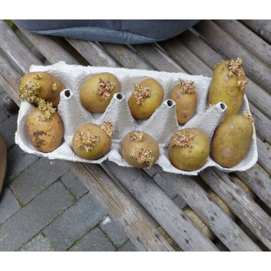 Nature Aardappelkweekzak 37 L Kleurig Antraciet
