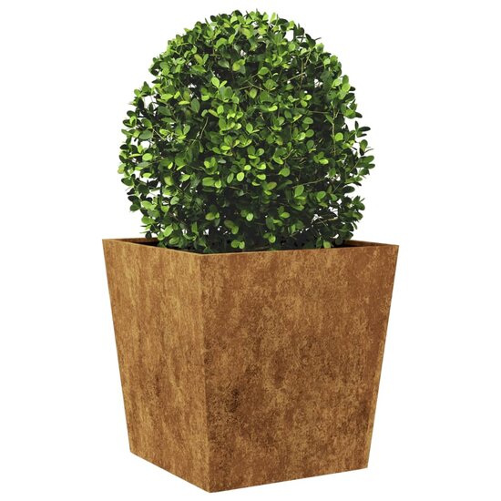 Plantenbak 50x50x50 cm weervast staal