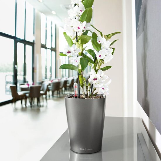 Plantenbak DELTINI ALL-IN-ONE metallic houtskoolkleurig
