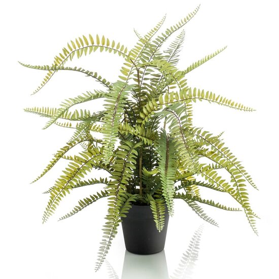 Emerald Kunstplant In Kunststof Pot Bostonvaren 70 Cm