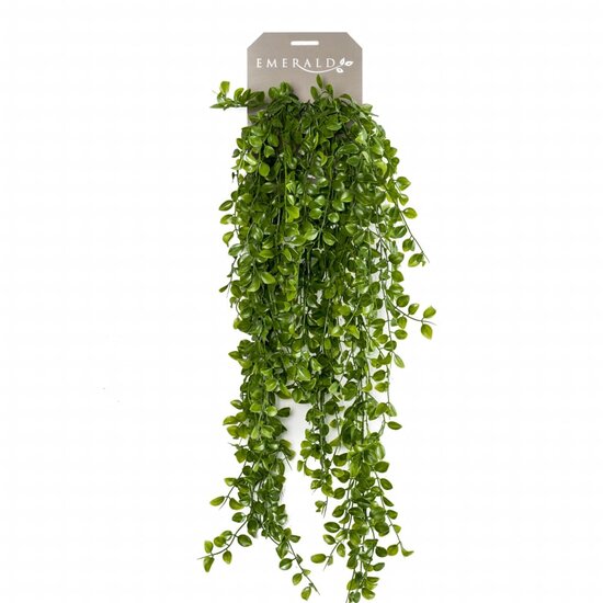 Emerald Kunstplant Klimvijg 80 Cm ficus