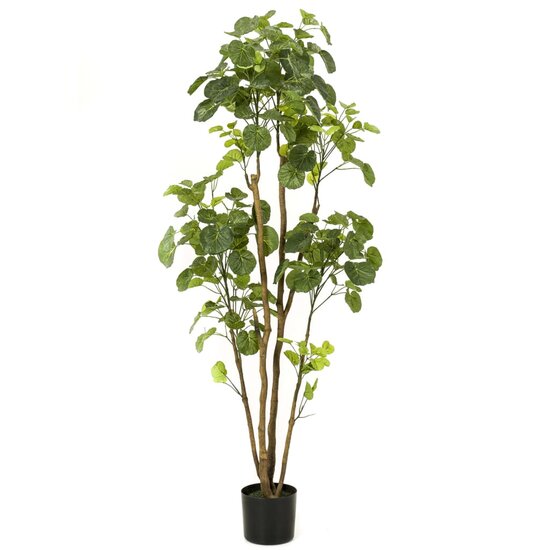 Kunstboom in pot aralia 160 cm