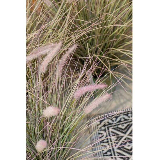 Kunstplant pennisetum groen 71 cm 418155