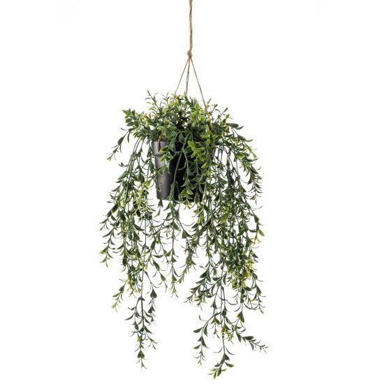 Kunstplant hangend in pot buxus 50 cm