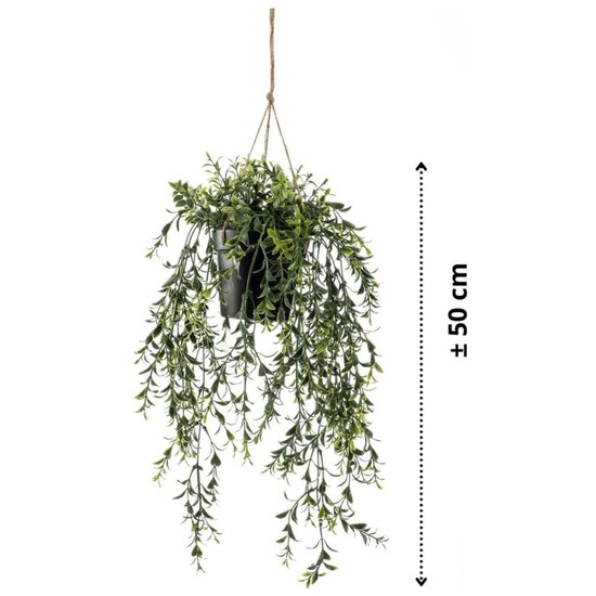 Kunstplant hangend in pot buxus 50 cm