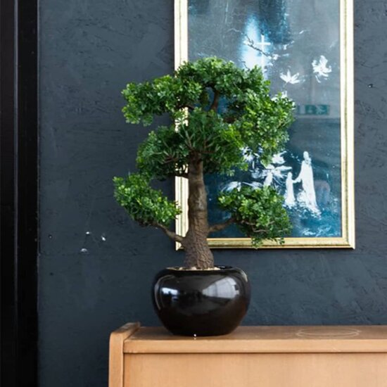 Kunstplant mini bonsai ficus groen 47 cm 420006
