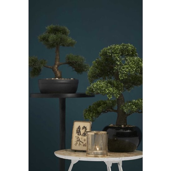 Kunstplant mini bonsai ficus groen 47 cm 420006