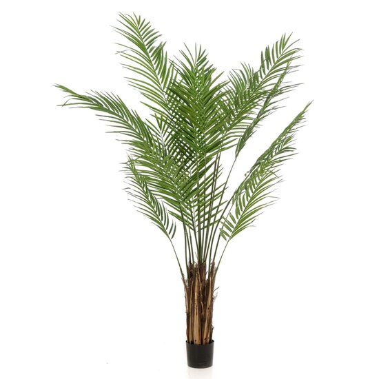 Kunstboom goudpalm 180 cm groen