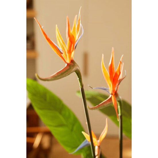 Kunstplant met pot en bloemen Strelitzia 120 cm