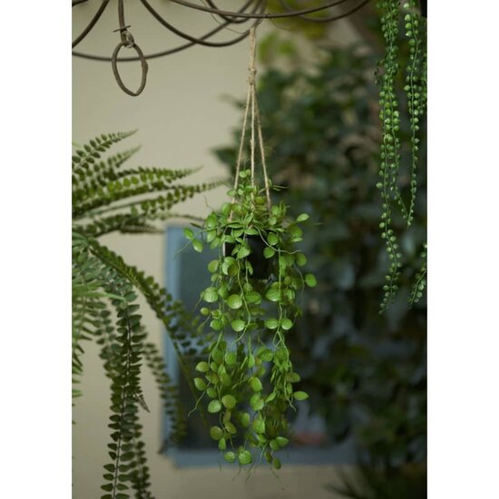 Kunstplant hangend in pot lantaarnplant 50 cm