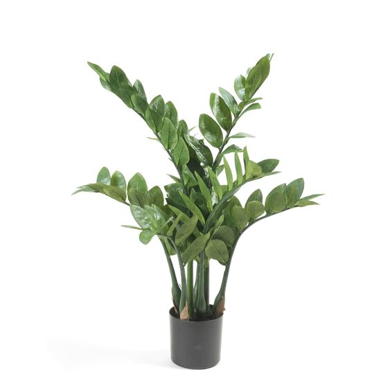 Kunstplant zamioculcas 70 cm