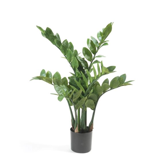 Kunstplant zamioculcas 70 cm