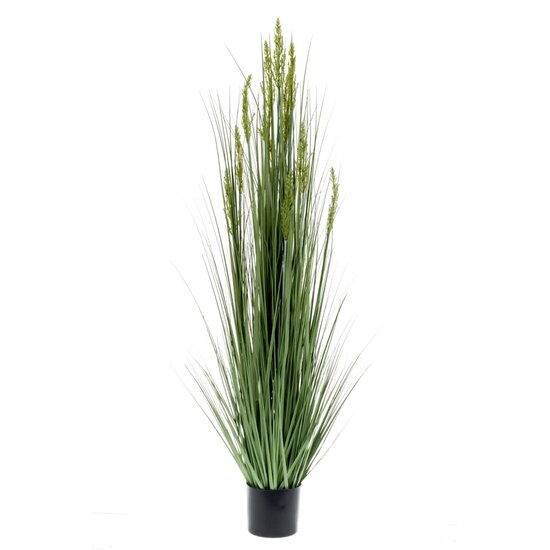 Emerald Kunstplant Graangras 150 Cm