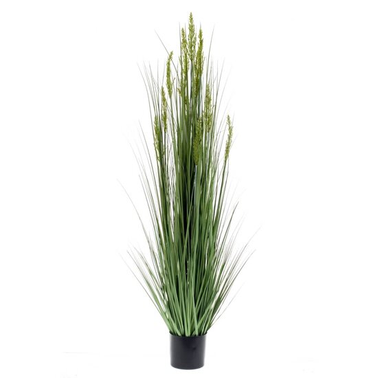 Emerald Kunstplant Graangras 150 Cm