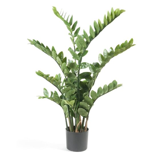 Kunstplant zamioculcas groen 110 cm 11.662C