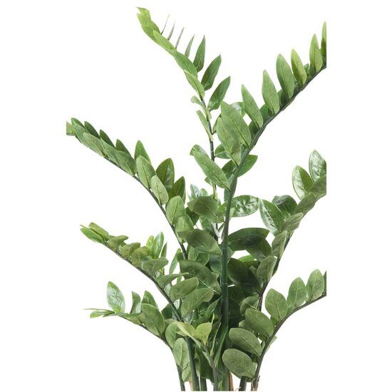 Kunstplant zamioculcas groen 110 cm 11.662C
