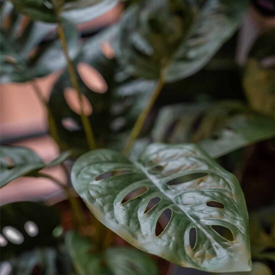 Kunstplant in pot Monkey monstera struik 43 cm