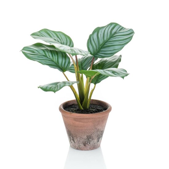Kunstplant in pot Terra calathea orbifolia 32 cm