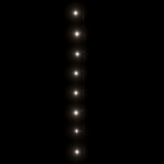 Lichtsnoer 600 LED&#039;s voor binnen en buiten IP44 60 m koudwit