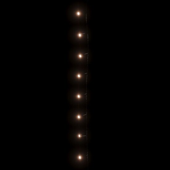 Lichtsnoer met 1000 LED&#039;s met 8 lichteffecten IP44 100 m warmwit