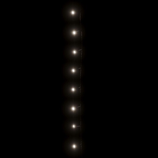 Lichtsnoer 1000 LED&#039;s binnen en buiten IP44 100 m koudwit