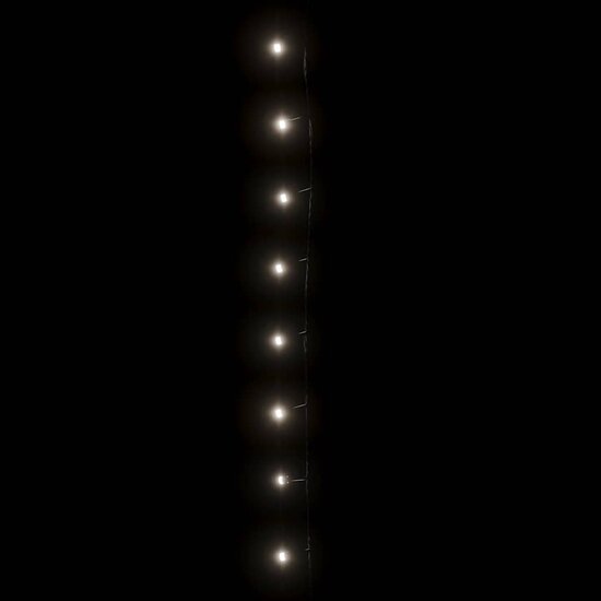 Lichtslinger Met 150 Led&#039;s Pvc 15 m Koudwit