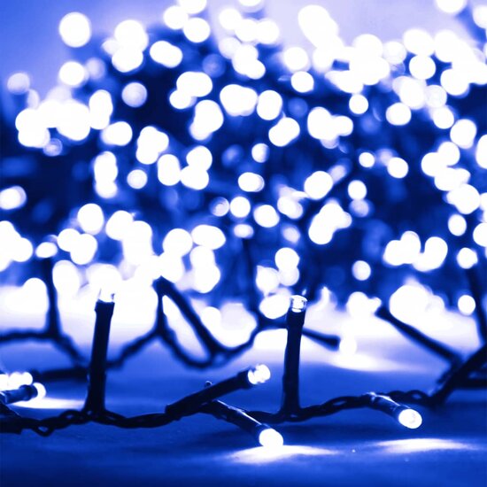 Lichtslinger Compact Met 400 Led&#039;s Pvc 13 m Blauw en donkergroen