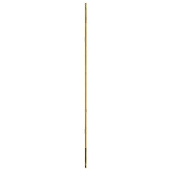 Wandspiegel 80x35 cm ovaal goudkleurig