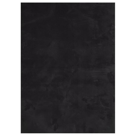 Vloerkleed Huarte Laagpolig Zacht Wasbaar Zwart 200 x 280 cm