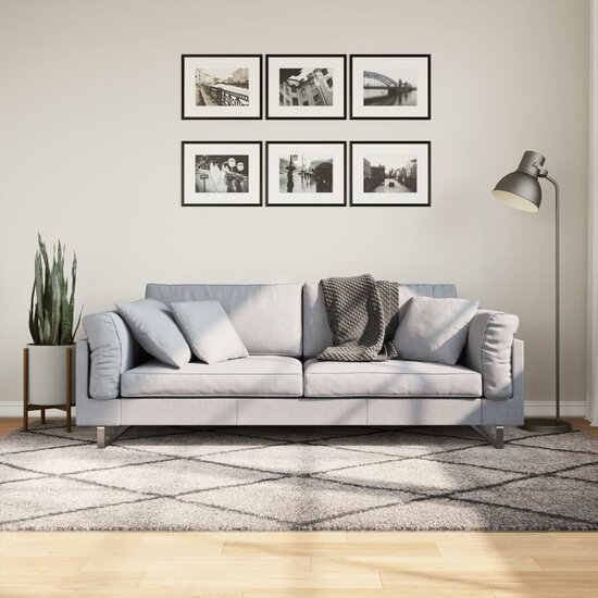 Vloerkleed Pamplona Shaggy Hoogpolig Beige En Antraciet 160 x 230 cm