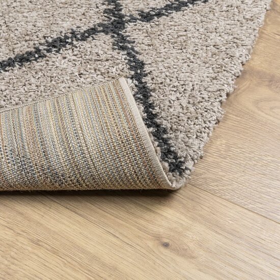 Vloerkleed Pamplona Shaggy Hoogpolig Beige En Antraciet 160 x 230 cm