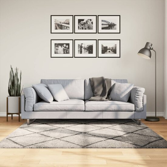 Vloerkleed Pamplona Shaggy Hoogpolig Beige En Antraciet 160 x 160 cm
