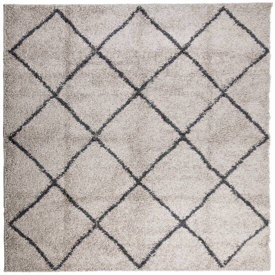 Vloerkleed Pamplona Shaggy Hoogpolig Beige En Antraciet 160 x 160 cm