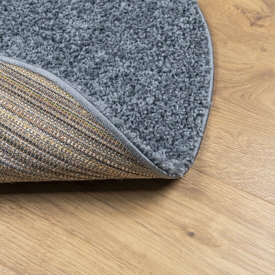 Vloerkleed PAMPLONA shaggy hoogpolig modern &Oslash; 200 cm blauw