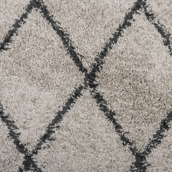 Vloerkleed shaggy hoogpolig modern 60x110 cm beige en antraciet