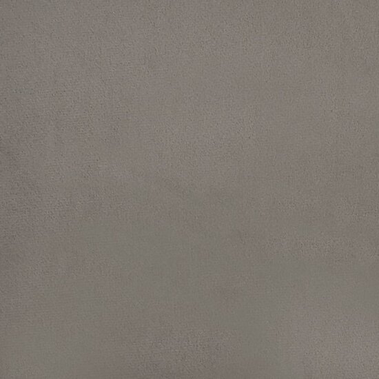 Bankje Fluweel 100 x 35 x 41 cm Lichtgrijs