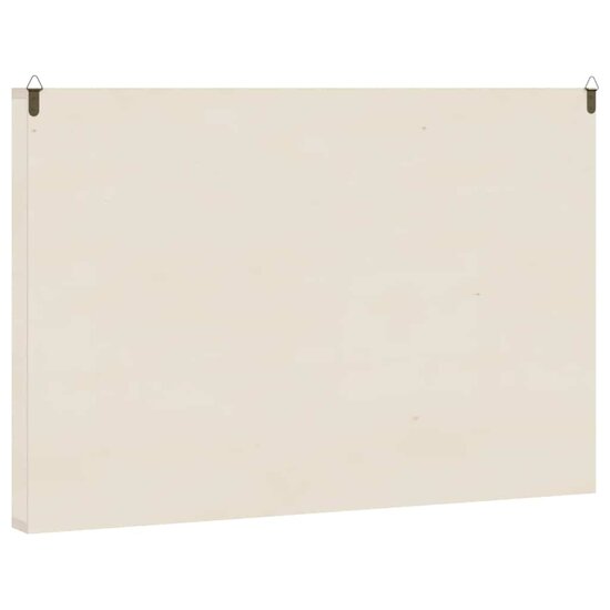 Houten Verzamelvitrine Met 60 Vakken 60X4,5X40,5 Cm 60 x 4.5 x 40.5 cm