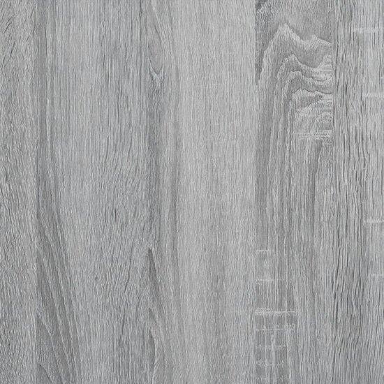 Kamerscherm / Boekenkast 3-Laags 99X29X Hout 99 cm Grijs sonoma