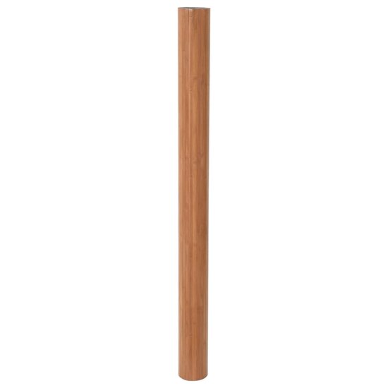 Kamerscherm 165X600 Cm Bamboe 600 x 165 cm Bruin